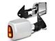 Powered Heated Towing Mirrors with Amber Turn Signals; Chrome (05-15 Tacoma)