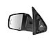 Powered Heated Memory Mirror with Puddle Light; Chrome; Driver Side (14-18 Tundra)