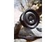 Fifteen52 Analog HD Asphalt Black 6-Lug Wheel; 17x8.5; 0mm Offset (22-24 Tundra)