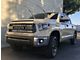 Cali Raised LED Dual 42-Inch Curved LED Light Bars with Hidden Grille Mounting Brackets; Combo Beam (14-21 Tundra)