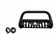 Bull Bar with Skid Plate and 5.30-Inch Black Round Flood LED Lights; Textured Black (07-21 Tundra)