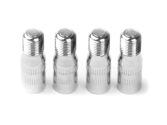 Tire Valve Extensions; 3/4-Inch Long