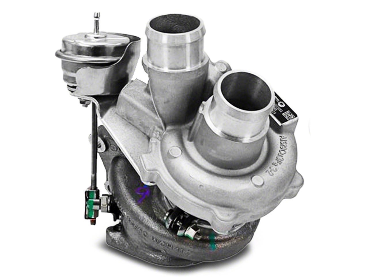 Category Image