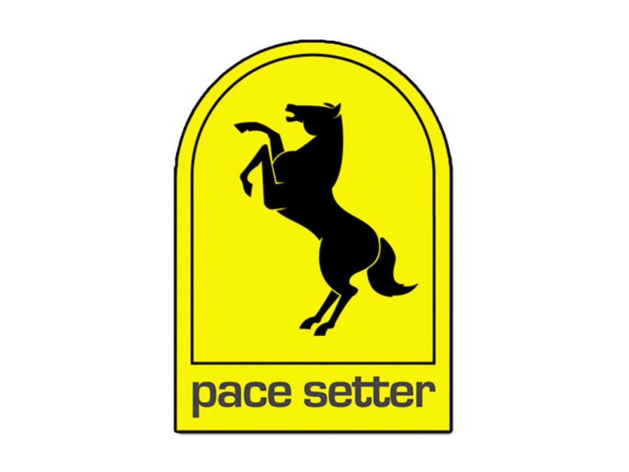 PaceSetter Header 97-99 Wrangler TJ 2.5L 70-1138 