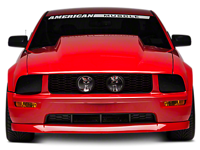 Mustang Hoods 2005-2009