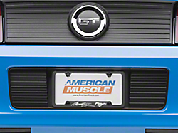 License Plates & License Plate Frames<br />('10-'14 Mustang)