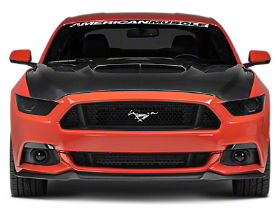 Mustang Hoods 2015-2021