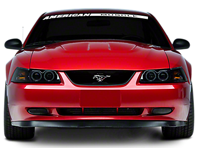 Mustang Hoods 1999-2004