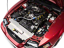 Engine Accessories<br />('94-'98 Mustang)