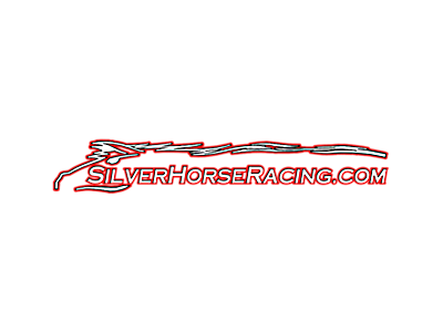 Mustang SilverHorse Racing Parts